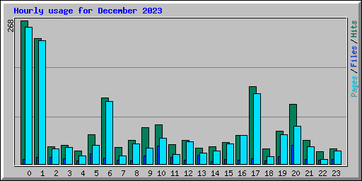 Hourly usage for December 2023