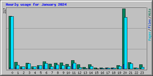 Hourly usage for January 2024